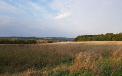 Nos priorités : L’environnement